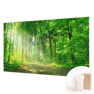 Plaunamas flizelininis fototapetas Skovsti