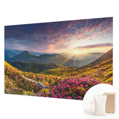 Fototapetas ant sienos Bjergo panorama