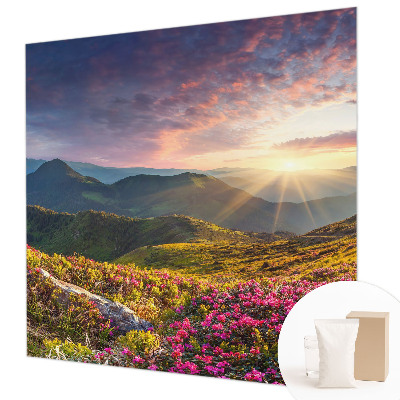 Fototapetas ant sienos Bjergo panorama