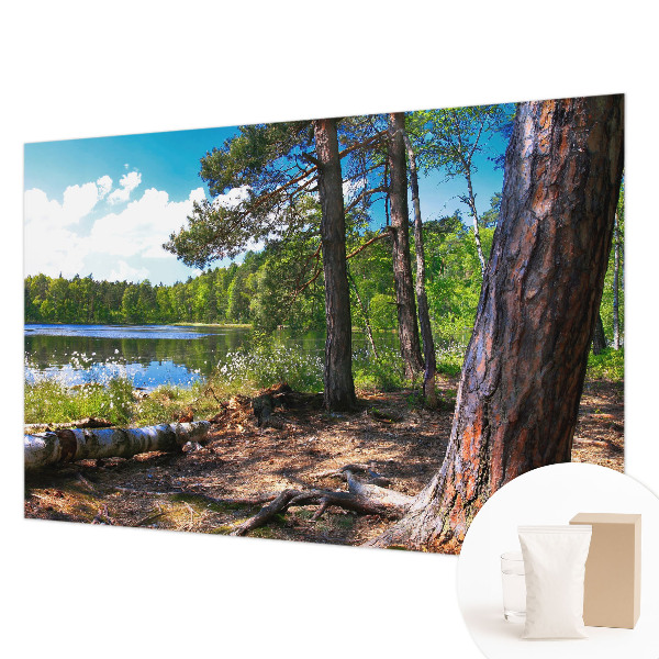 Modernus fototapetas Skovlandskabas