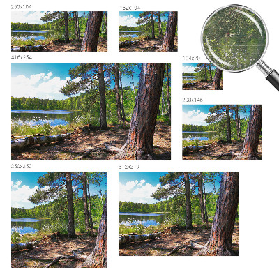 Modernus fototapetas Skovlandskabas