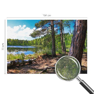 Modernus fototapetas Skovlandskabas