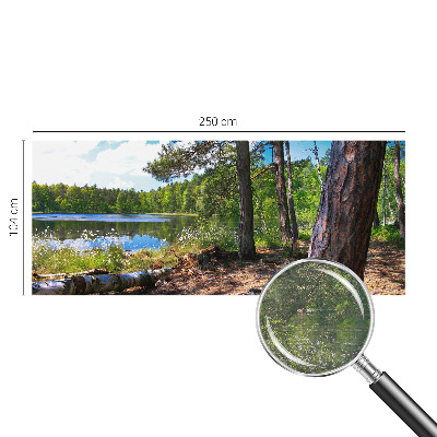 Modernus fototapetas Skovlandskabas