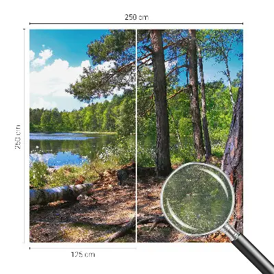 Modernus fototapetas su Skovlandskabas motyvu