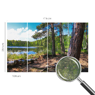 Modernus fototapetas Skovlandskabas