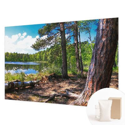 Modernus fototapetas Skovlandskabas