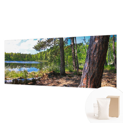 Modernus fototapetas Skovlandskabas