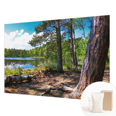 Modernus fototapetas Skovlandskabas