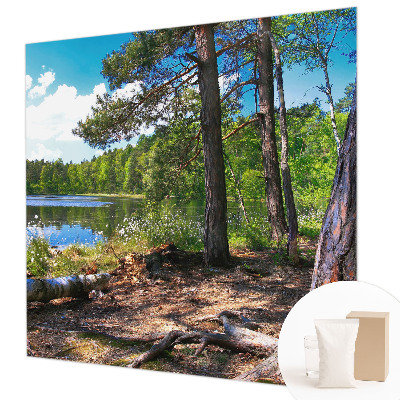 Modernus fototapetas Skovlandskabas