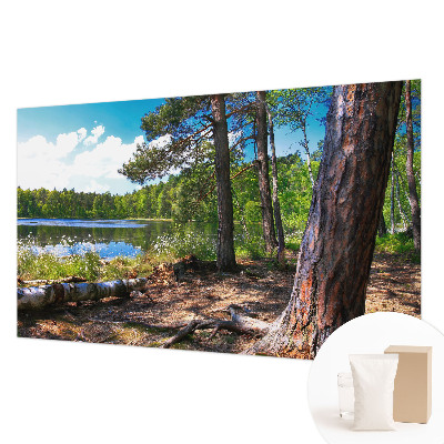 Modernus fototapetas Skovlandskabas