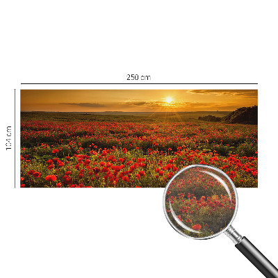 Dekoratyvinis fototapetas Valmuefeltas