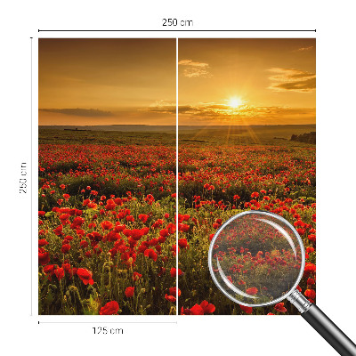 Dekoratyvinis fototapetas su aguonų lauku