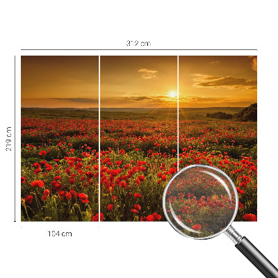 Dekoratyvinis fototapetas su aguonų lauku