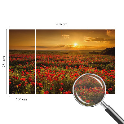 Dekoratyvinis fototapetas Valmuefeltas