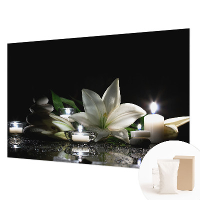 Fototapetas Atvirkštinė scena