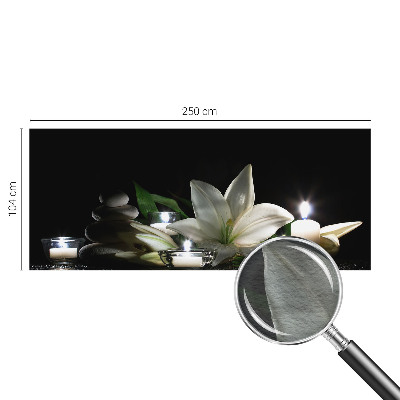 Fototapetas Atvirkštinė scena