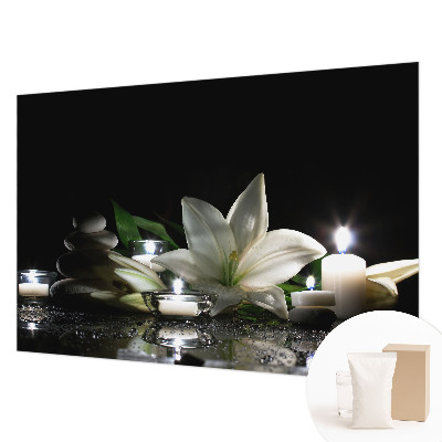 Fototapetas Atvirkštinė scena