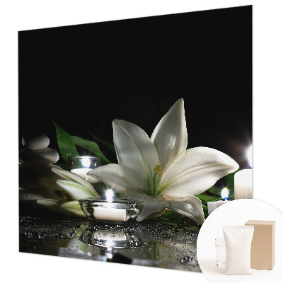 Fototapetas Atvirkštinė scena