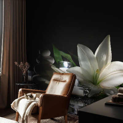 Fototapetas Atvirkštinė scena