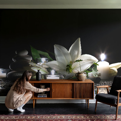 Fototapetas Atvirkštinė scena