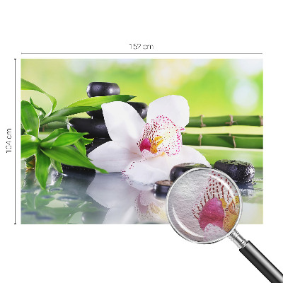 Fototapetas flizelino pagrindu su dizainu „Naturens fred“