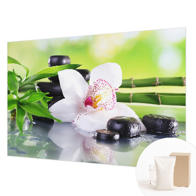 Fototapetas flizelino pagrindu Naturens fred