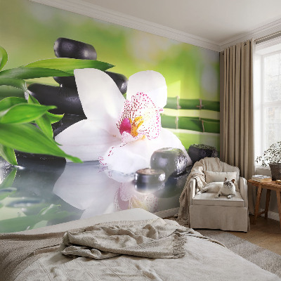 Fototapetas flizelino pagrindu Naturens fred