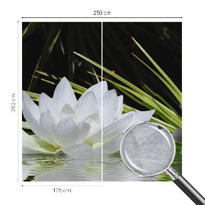 Fototapetas pagal matmenis Liljemeditacija