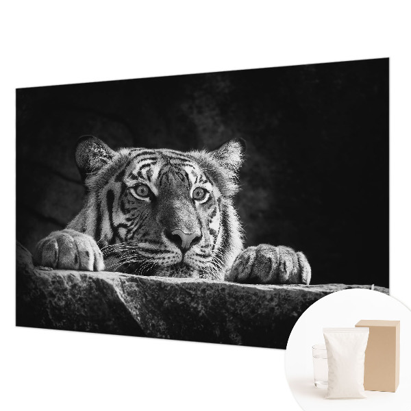 Fototapetas Rovdyragtigt udseende