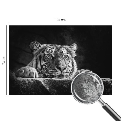 Fototapetas Rovdyragtigt udseende