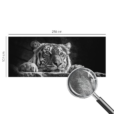 Fototapetas Rovdyragtigt udseende