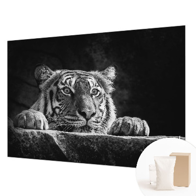 Fototapetas Rovdyragtigt udseende