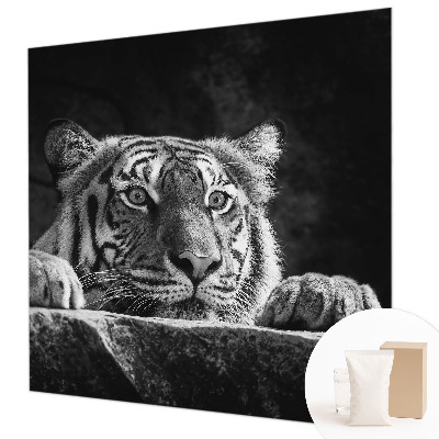 Fototapetas Rovdyragtigt udseende