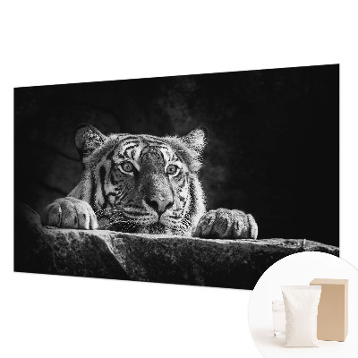 Fototapetas Rovdyragtigt udseende