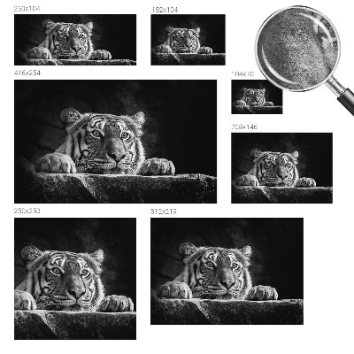 Fototapetas Rovdyragtigt udseende