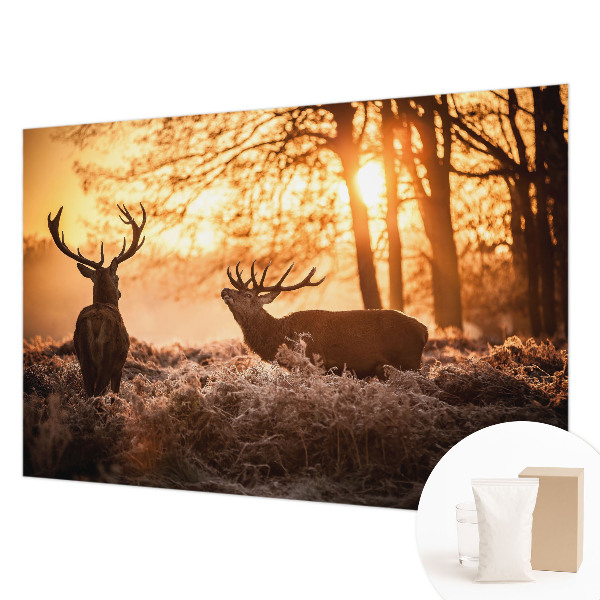 Fototapetas flizelino pagrindu Rytoj šviečia