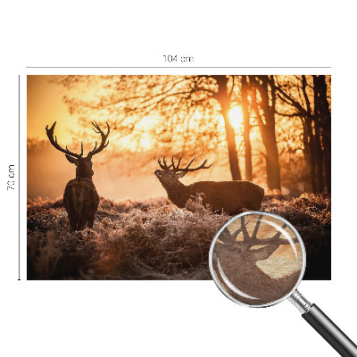 Fototapetas flizelino pagrindu Rytoj šviečia