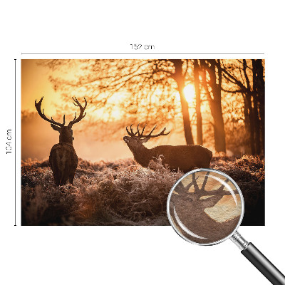 Fototapetas flizelino pagrindu Rytoj šviečia