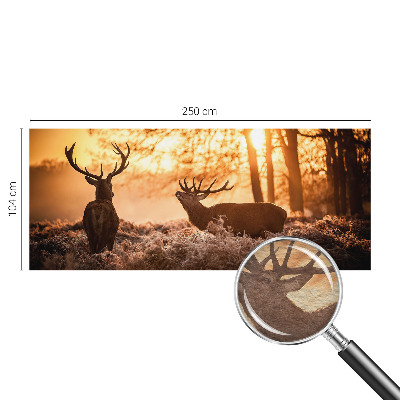 Fototapetas flizelino pagrindu Rytoj šviečia