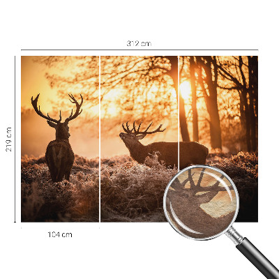 Fototapetas flizelino pagrindu Rytoj šviečia