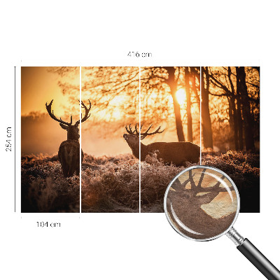 Fototapetas flizelino pagrindu Rytoj šviečia