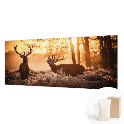 Fototapetas flizelino pagrindu Rytoj šviečia