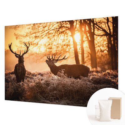 Fototapetas flizelino pagrindu Rytoj šviečia