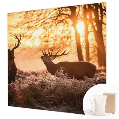 Fototapetas flizelino pagrindu Rytoj šviečia