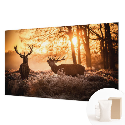 Fototapetas flizelino pagrindu Rytoj šviečia