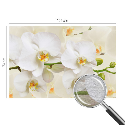 Dekoratyvinis fototapetas Blomsterrigdomas