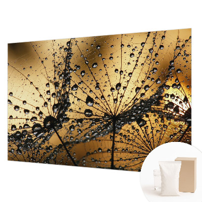 Stilingas fototapetas Subtilus drabužis