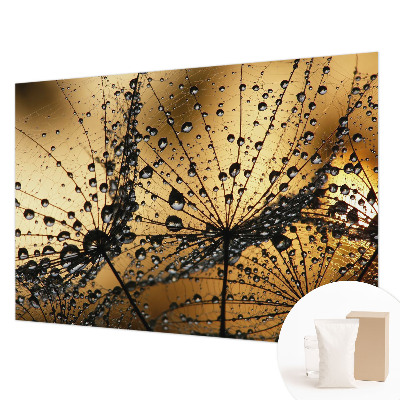 Stilingas fototapetas Subtilus drabužis