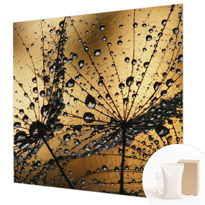 Stilingas fototapetas Subtilus drabužis