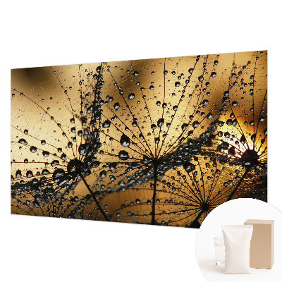 Stilingas fototapetas Subtilus drabužis